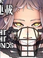 经典日本动漫黑胶唱片与魔法少女剧照